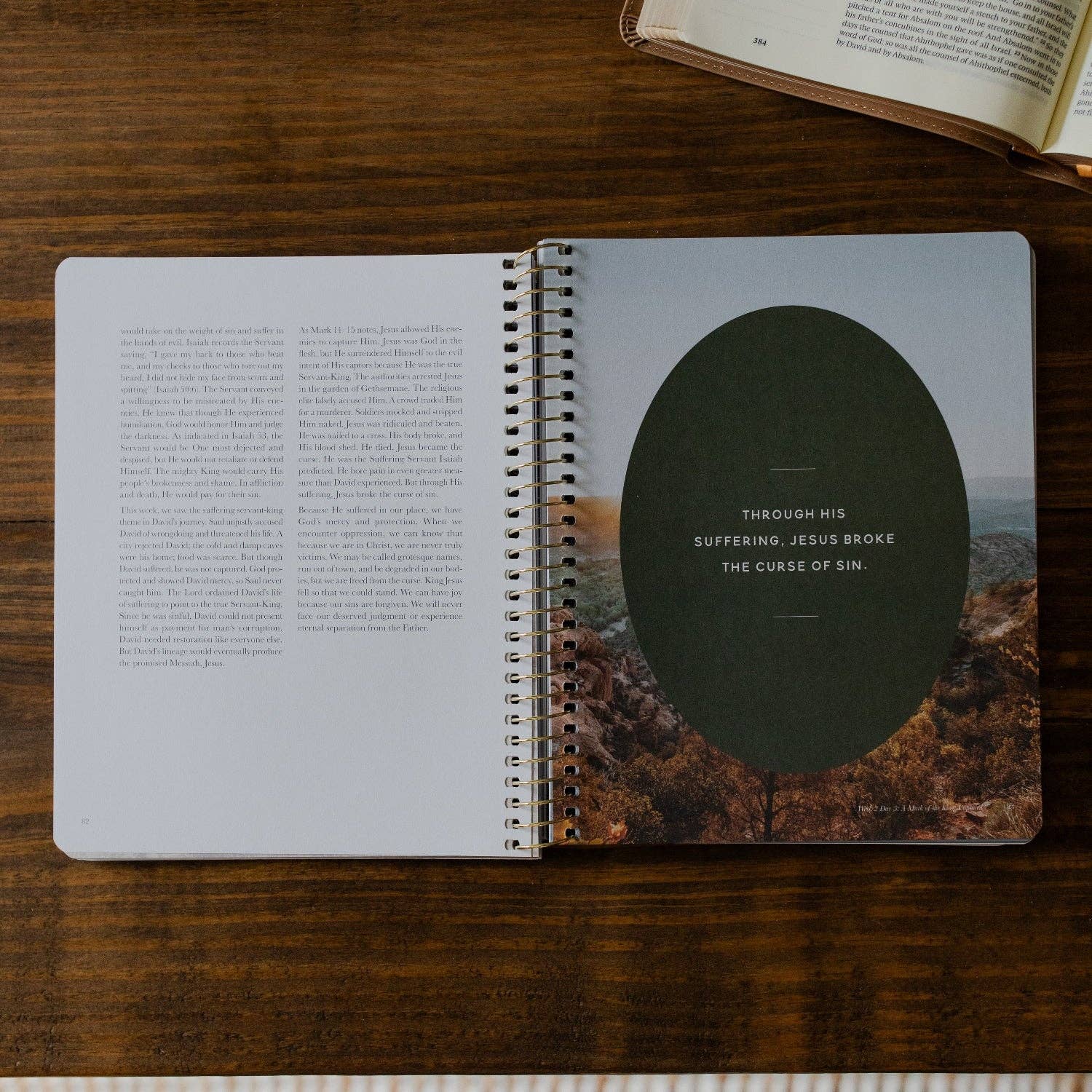 Peaks and Valleys: Learning to Look to Christ in Life's Highs and Lows | A Study on the Life of David - Men