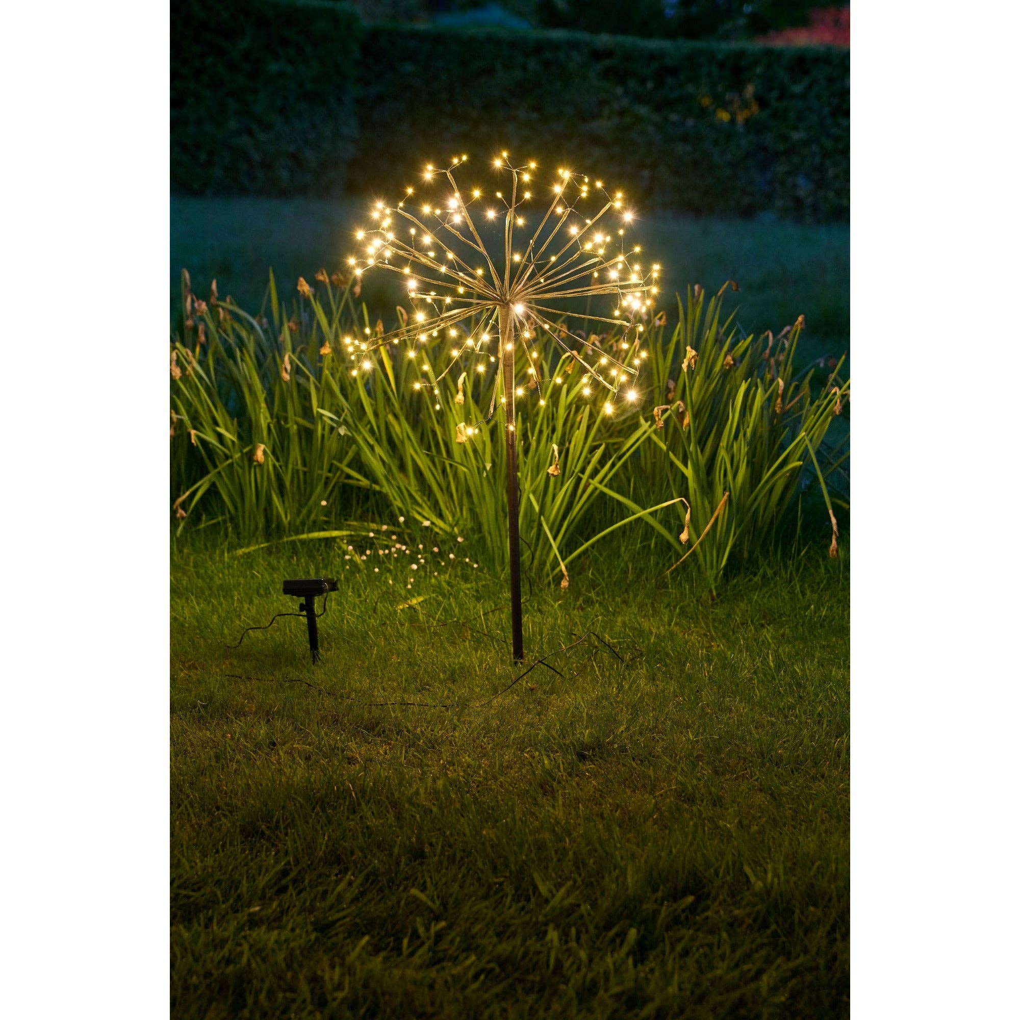 Solar Dandelion Light
