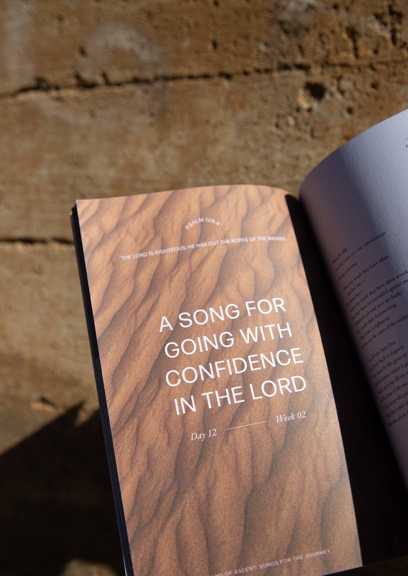 The Psalms of Ascent Men's Reading Guide