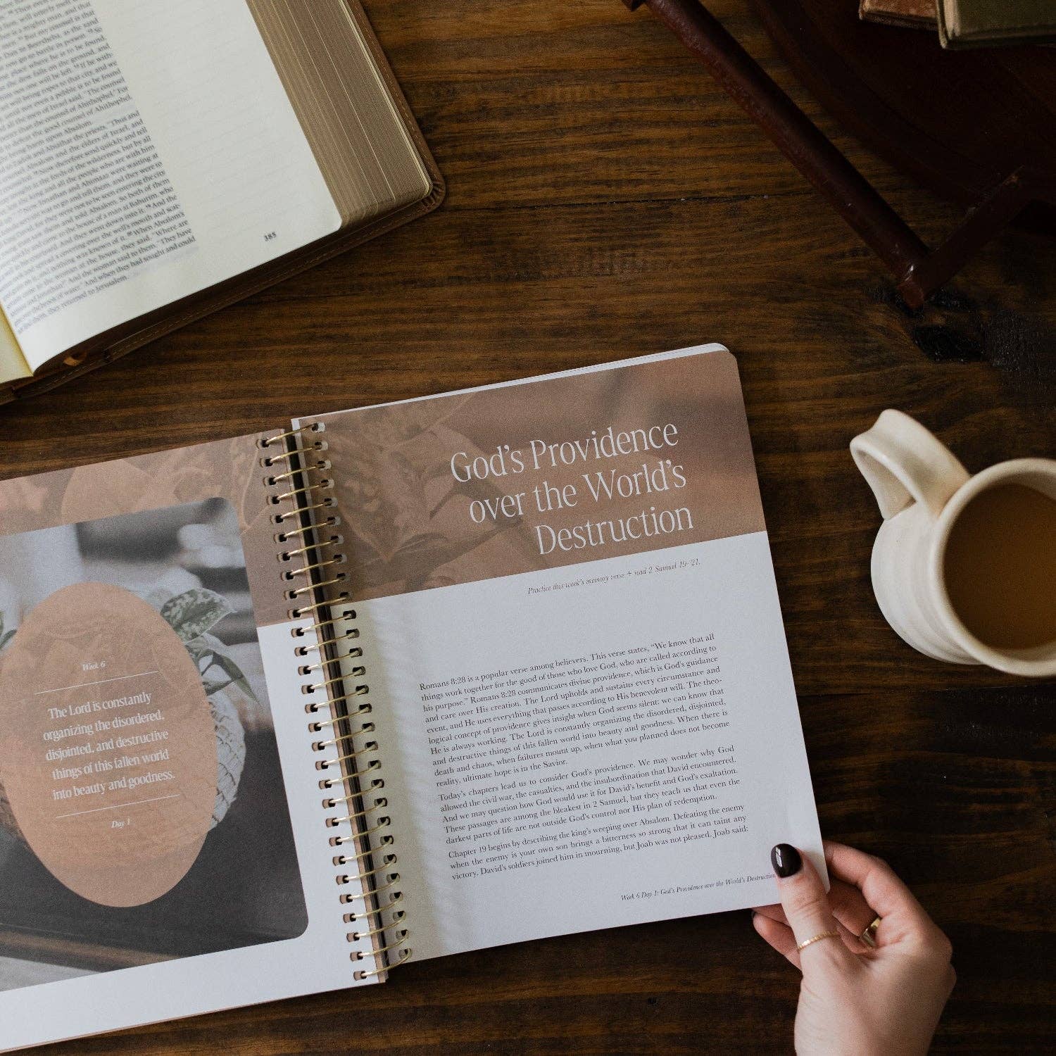 Peaks and Valleys: Learning to Look to Christ in Life's Highs and Lows | A Study on the Life of David