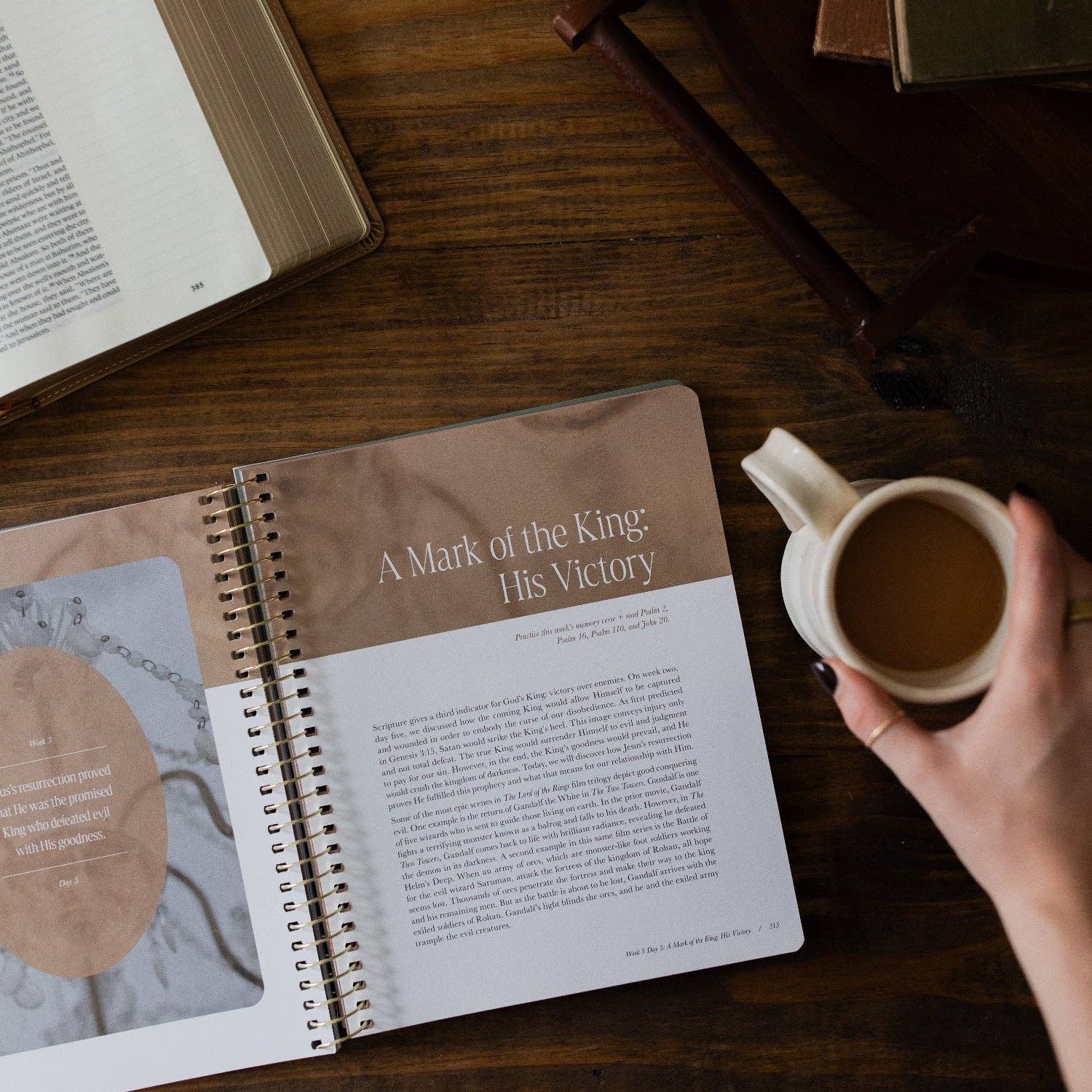 Peaks and Valleys: Learning to Look to Christ in Life's Highs and Lows | A Study on the Life of David