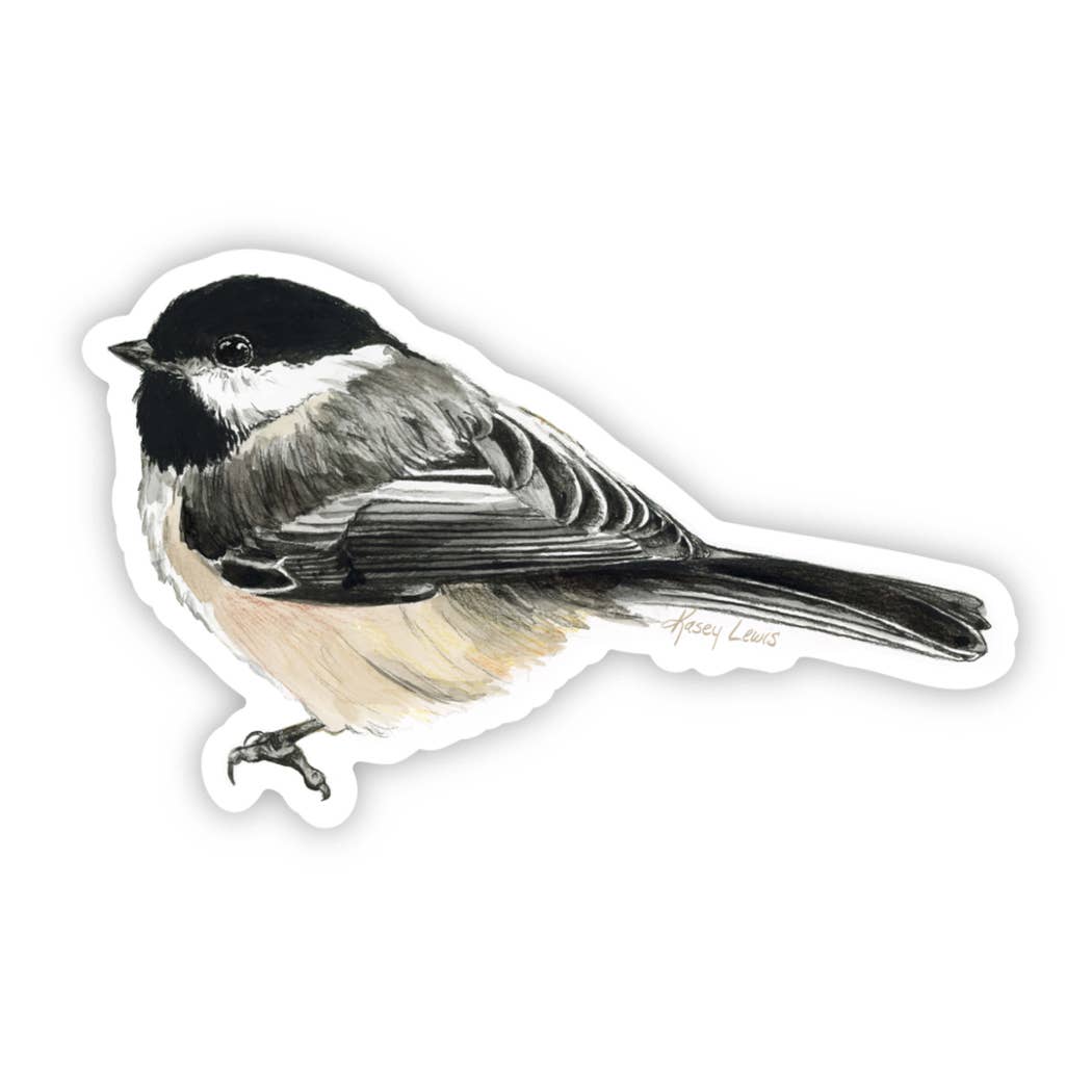 Black Capped Chickadee / Vinyl Sticker