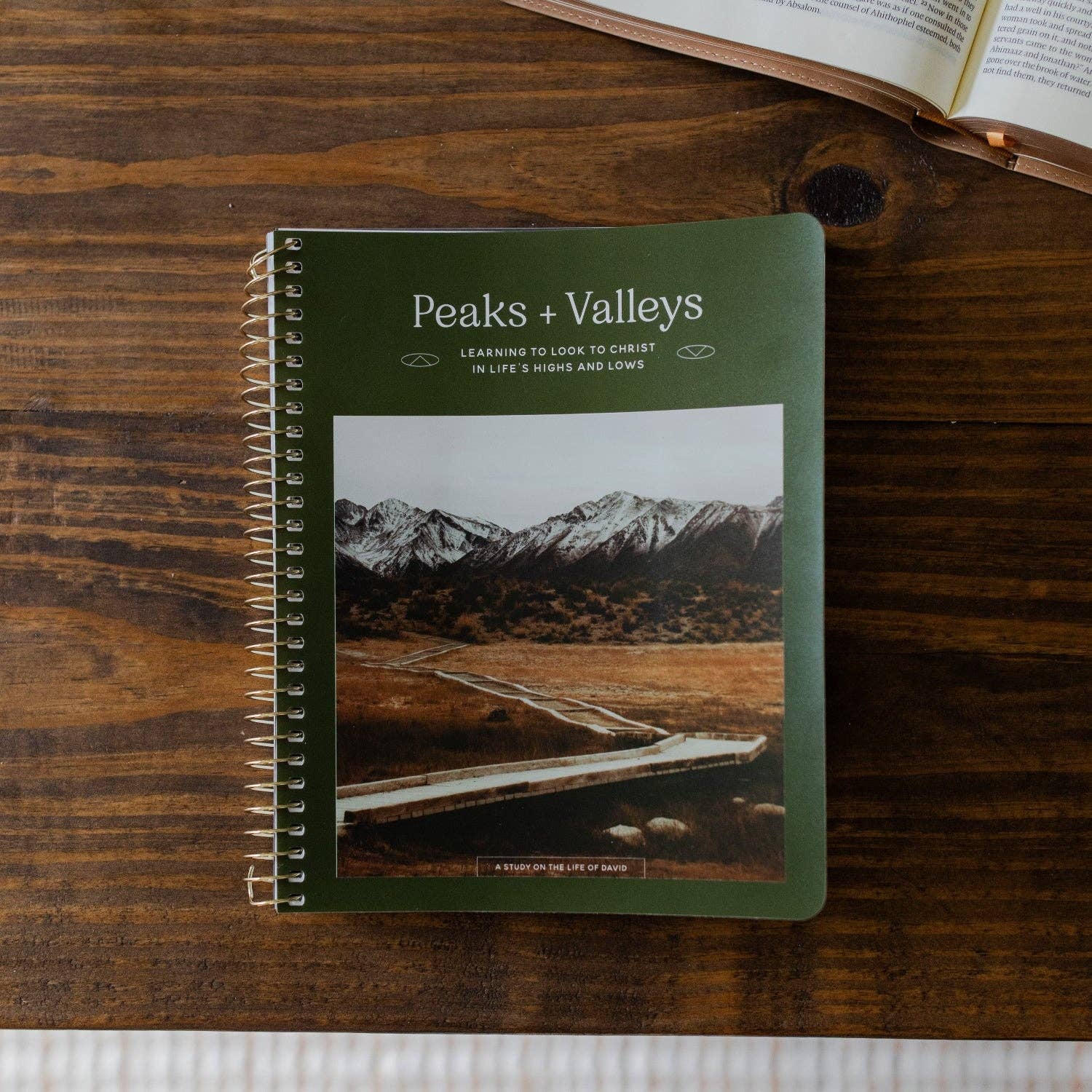 Peaks and Valleys: Learning to Look to Christ in Life's Highs and Lows | A Study on the Life of David - Men