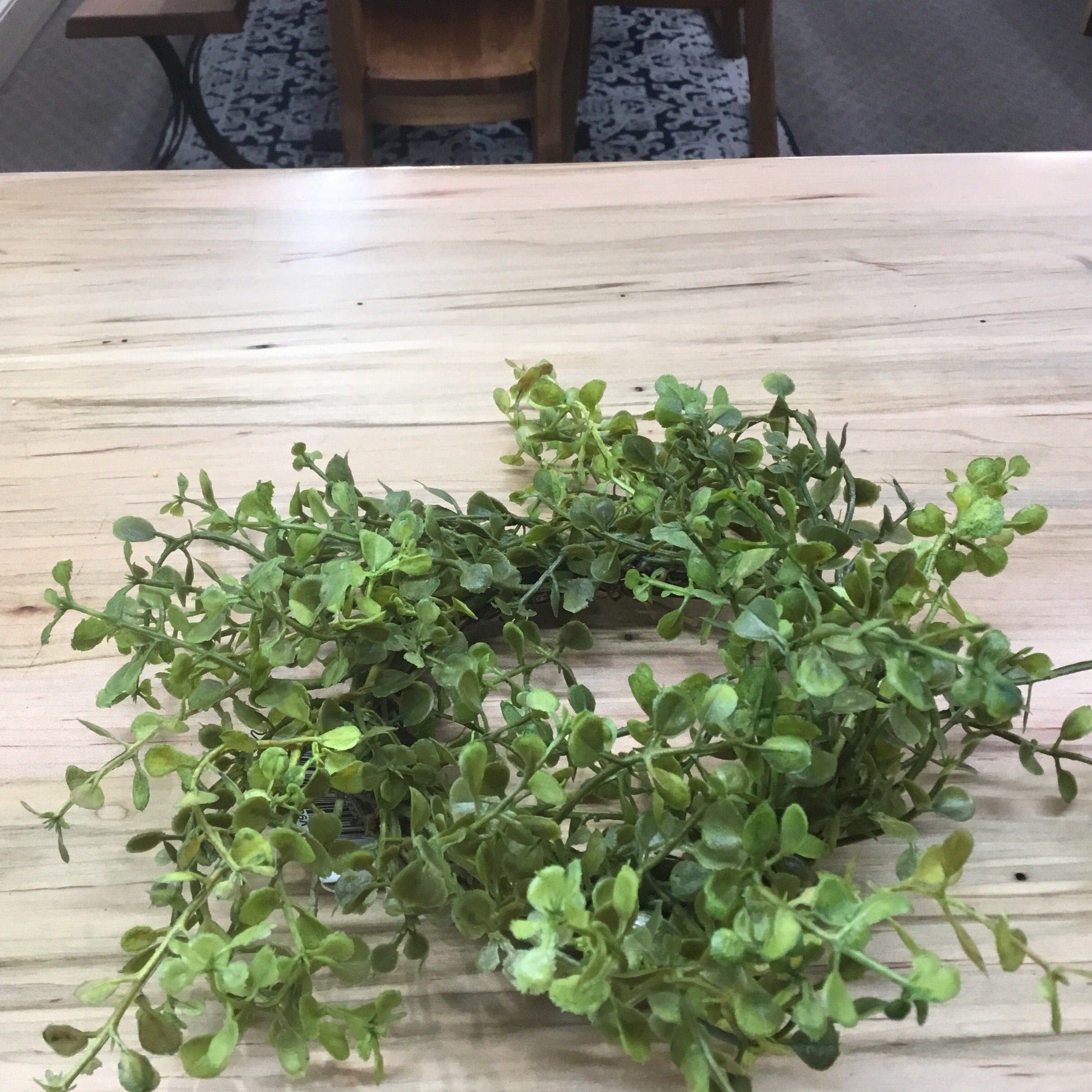 Baby’s Grass