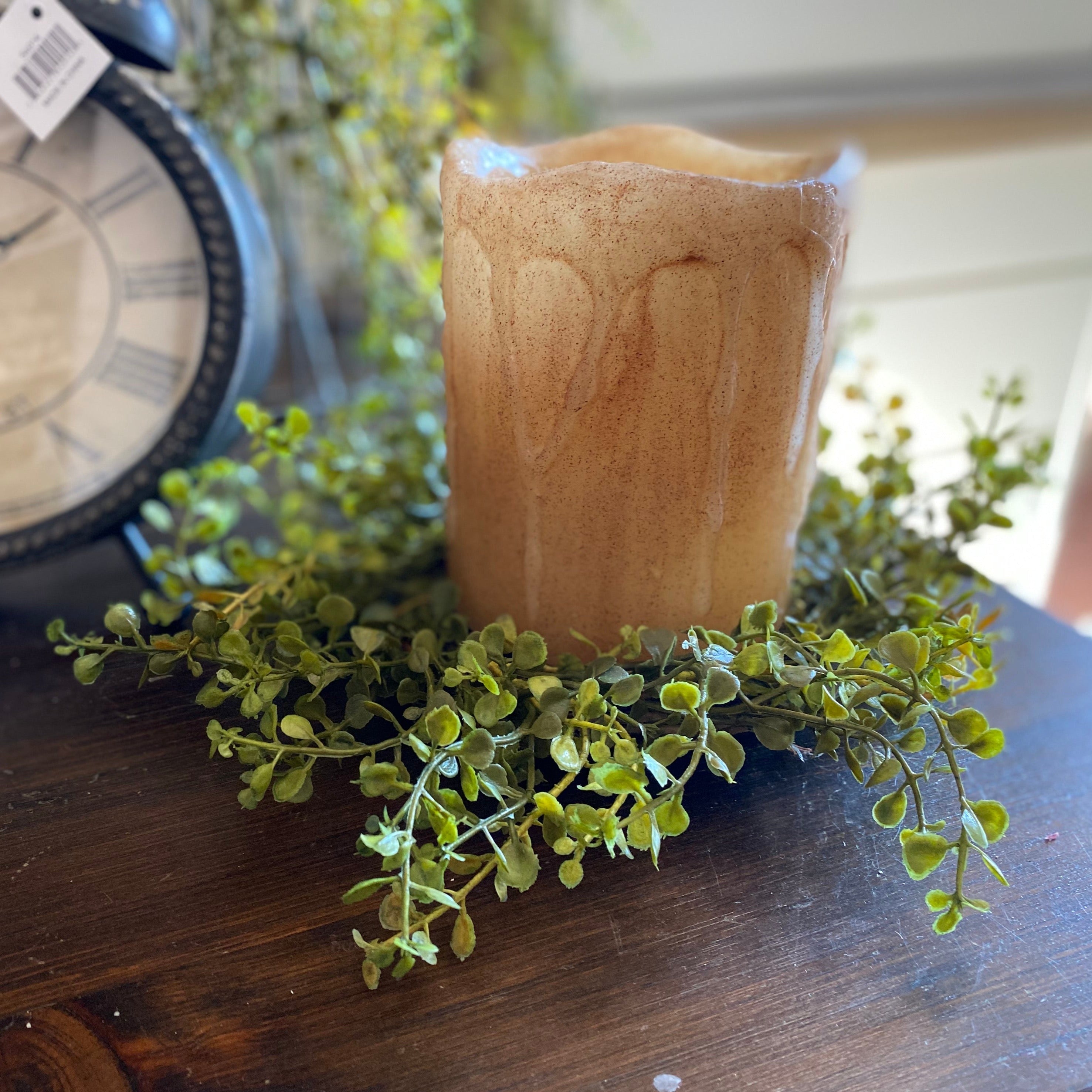Baby’s Grass